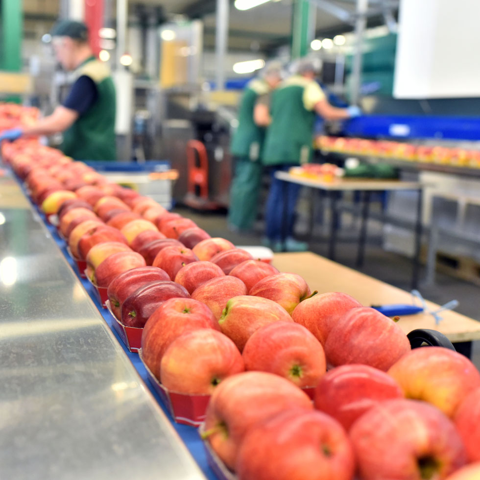 Agricultural Packaging Solutions - Produce Department Apples